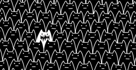 貓貓牆系列圖樣